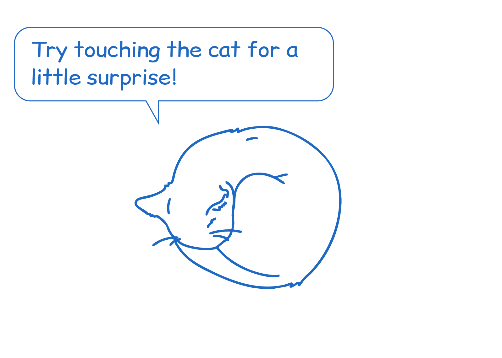 description3